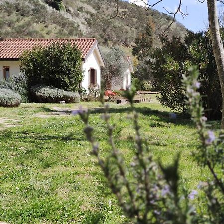 Taverna Centomani Potenza Dış mekan fotoğraf