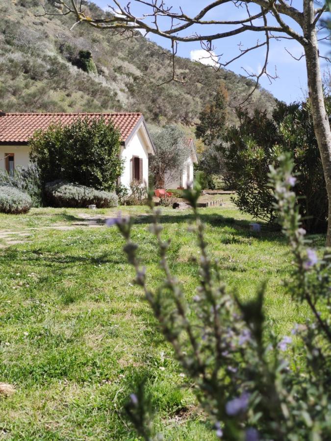 Taverna Centomani Potenza Dış mekan fotoğraf